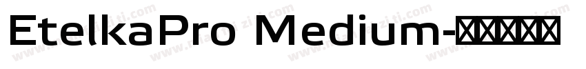 EtelkaPro Medium字体转换